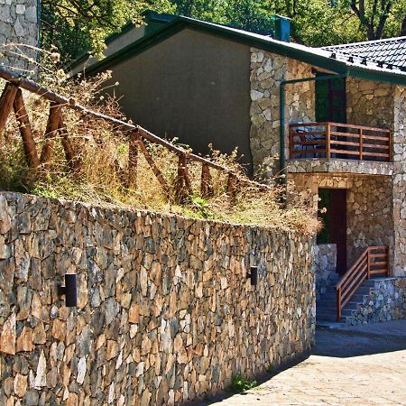 Dilijan Villa 12 Exterior photo